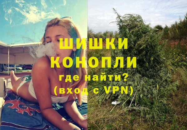 2c-b Бородино
