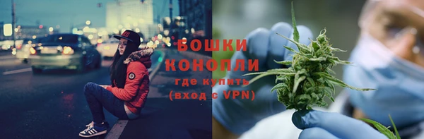 2c-b Бородино