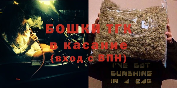 2c-b Бородино