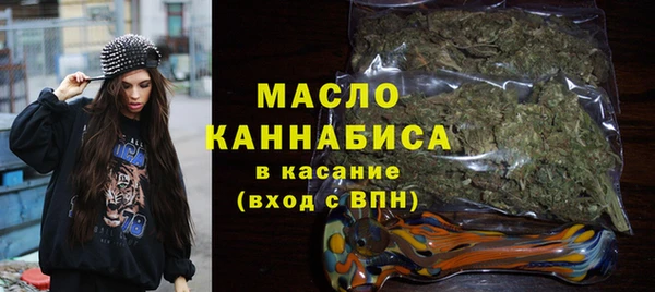 2c-b Бородино