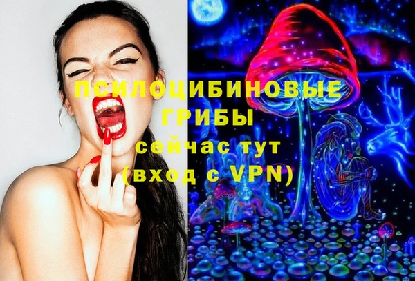 2c-b Бородино