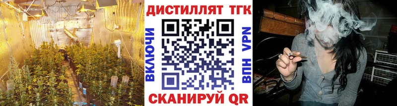 Купить  Егорьевск  ТГК Wax 