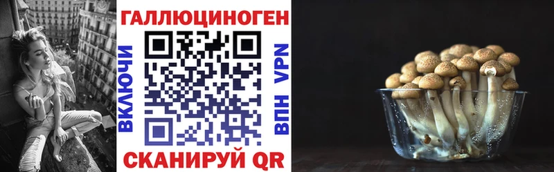 Купить где  Егорьевск  Псилоцибиновые грибы GOLDEN TEACHER 